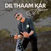 About DIL THAAM KAR Song